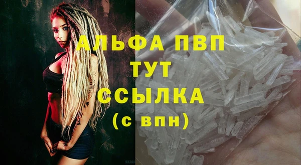 тгк Новодвинск