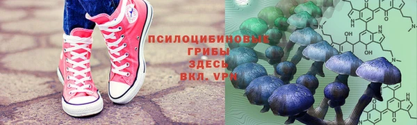 соль ск Балабаново
